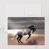 Carte Postale Black Horse Sandy Beach Océan Poste (Devant / Derrière)