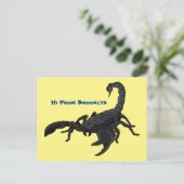 Carte Postale Black hungry scorpion (Debout devant)