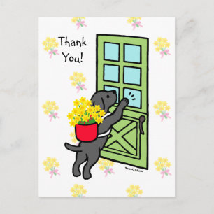 Carte Postale Black Lab avec jonquilles