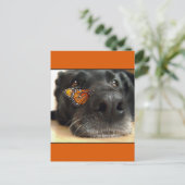 Carte Postale BLack Lab Chien Avec Papillon (Debout devant)