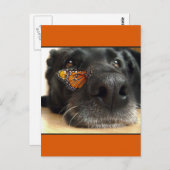 Carte Postale BLack Lab Chien Avec Papillon (Devant / Derrière)