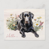 Carte Postale Black Lab dans les Fleurs de Champ Bonjour Personn (Devant)