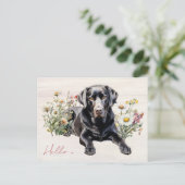 Carte Postale Black Lab dans les Fleurs de Champ Bonjour Personn (Debout devant)