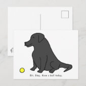 Carte Postale Black Lab Drôle Animaux De Compagnie Drôle Caricat (Devant / Derrière)