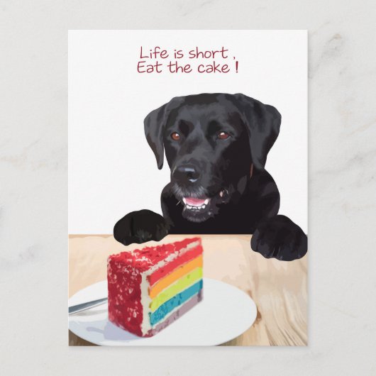Carte Postale Black Lab - La vie est courte, mange le gâteau - L (Devant)