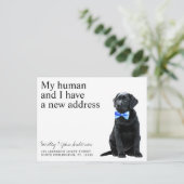 Carte Postale Black Lab Nouvelle adresse Chien Moving Faire-part (Debout devant)