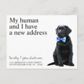 Carte Postale Black Lab Nouvelle adresse Chien Moving Faire-part (Devant)