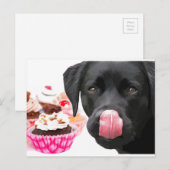 Carte Postale Black Lab Party - Dog Birthday - Cupcake Labrador (Devant / Derrière)