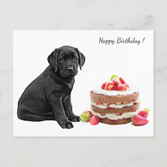 Carte Postale Black Lab Puppy Chien Joyeux Anniversaire Labr Zazzle Be Carte Postale Black Lab Puppy Chien Joyeux Anniversaire Labr Zazzle Be