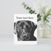 Carte Postale Black Labrador (Debout devant)