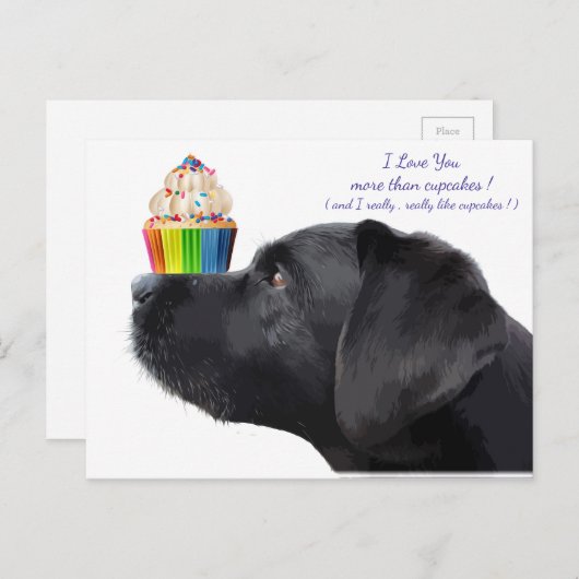 Carte Postale Black Labrador (Devant / Derrière)