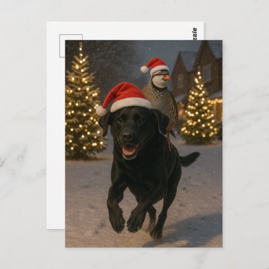 Carte Postale Black Labrador and Partridge Christmas postcard (Devant / Derrière)