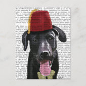 Carte Postale Black Labrador Avec Fès (Devant)
