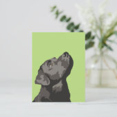 Carte Postale Black Labrador (Choisissez Votre Pro (Debout devant)
