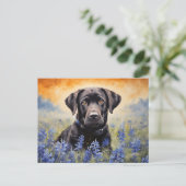 Carte Postale Black Labrador dans Bluebonnets (Debout devant)