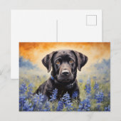 Carte Postale Black Labrador dans Bluebonnets (Devant / Derrière)