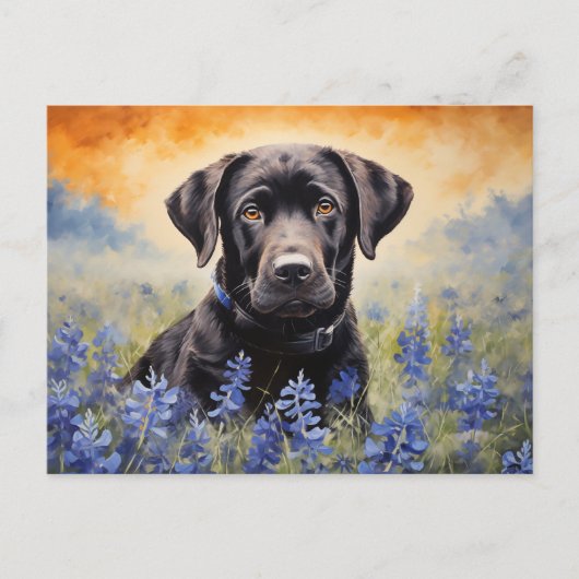 Carte Postale Black Labrador dans Bluebonnets (Devant)