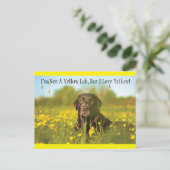 Carte postale Black Labrador Dog (Debout devant)