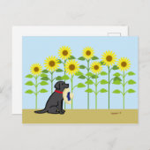 Carte Postale Black Labrador et Sunflower été (Devant / Derrière)