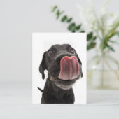 Carte Postale Black Labrador Licking (Debout devant)