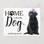 Carte Postale Black Labrador Nous avons déplacé le Faire-part de (Devant)