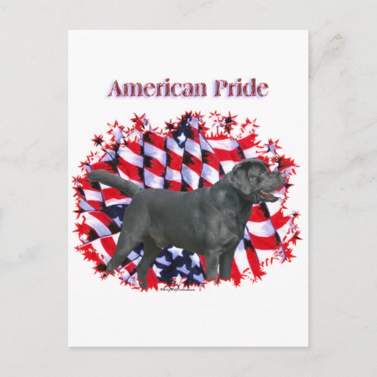 Carte Postale Black Labrador Pride (Devant)