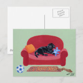 Carte Postale Black Labrador sur le canapé rose (Devant / Derrière)