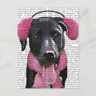 Carte Postale Black Labrador With Ear Muffs
