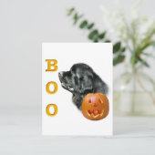 Carte Postale Black Newfoundland Boo (Debout devant)