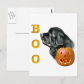 Carte Postale Black Newfoundland Boo (Devant / Derrière)