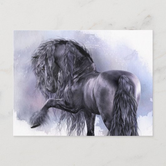 Carte postale Black Pearl (Devant)