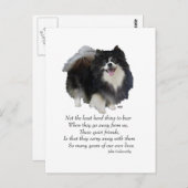 Carte Postale Black Pomeranian Keepsaké (Devant / Derrière)