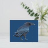 Carte postale Black Raven III (Debout devant)