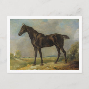 Carte Postale Black Riding-Horse du gendarme du Golding, vers 18