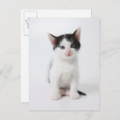 Carte Postale Black Spotted (Devant / Derrière)