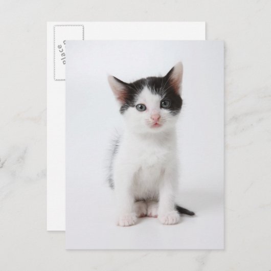 Carte Postale Black Spotted (Devant / Derrière)