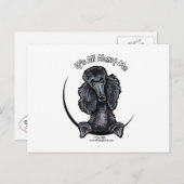 Carte Postale Black Standard Poodle IAAM (Devant / Derrière)