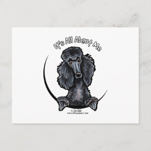 Carte Postale Black Standard Poodle IAAM