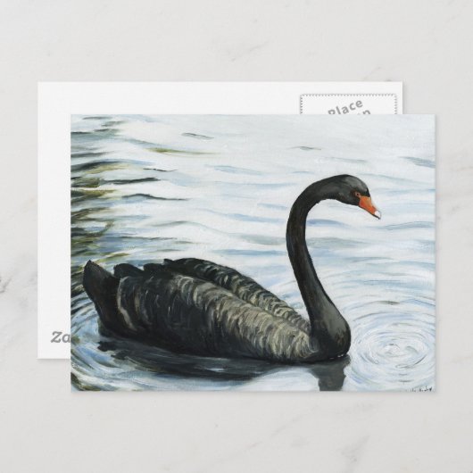 Carte postale "Black Swan" Bird Art Reproduction (Devant / Derrière)