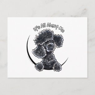 Carte Postale Black Toy Poodle IAAM