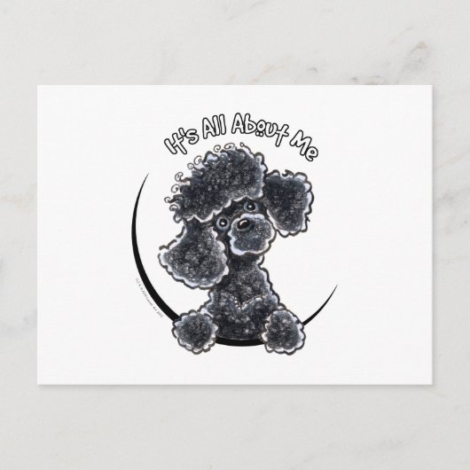 Carte Postale Black Toy Poodle IAAM (Devant)