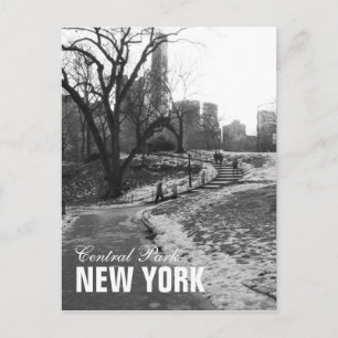 Carte Postale Black White Central Park New York