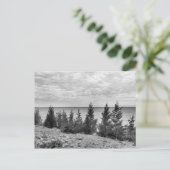 Carte Postale Black & White Mackinac Island, Michigan Shoreline (Debout devant)