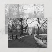 Carte Postale Black White NY Central Park (Devant / Derrière)