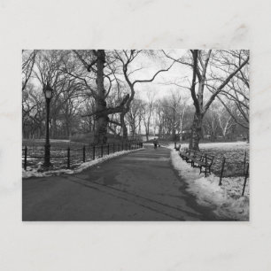 Carte Postale Black White NY Central Park