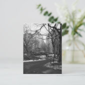 Carte Postale Black White NY Central Park (Debout devant)