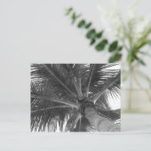 Carte postale Black & White Palm (Debout devant)