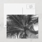 Carte postale Black & White Palm (Devant / Derrière)