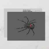 Carte Postale Black Widow Spider Dessin original (Devant / Derrière)