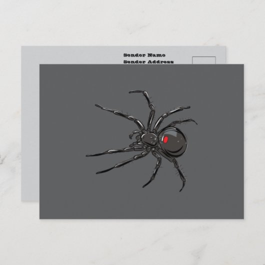Carte Postale Black Widow Spider Dessin original (Devant / Derrière)